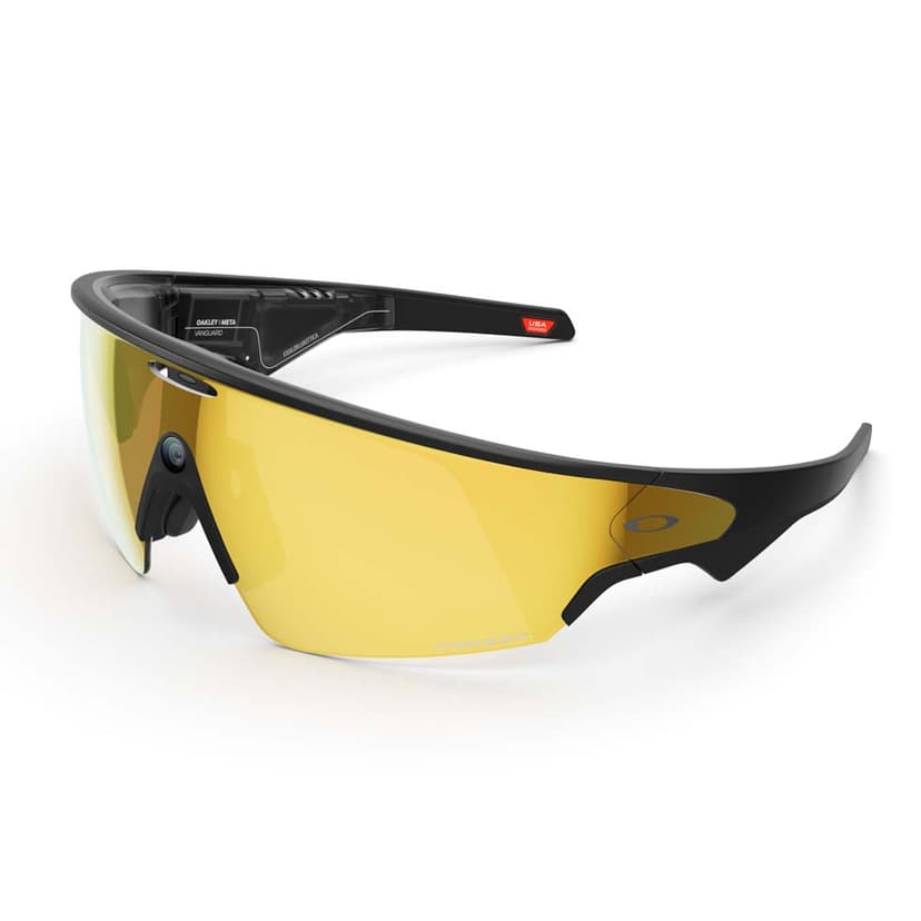 Oakley Prizm Polar NEGRO